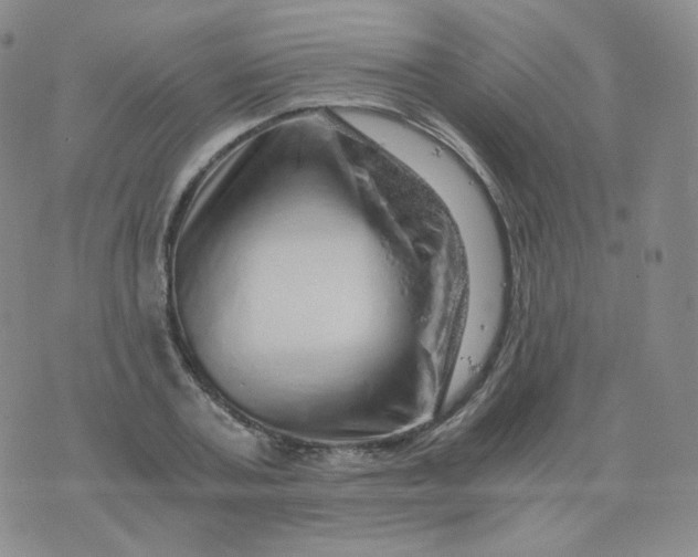 X0000076070787200610152226