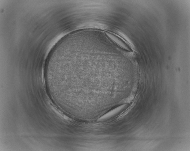 X0000076070788200610152226