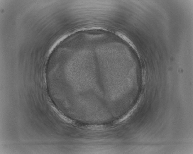 X0000076070789200610152226