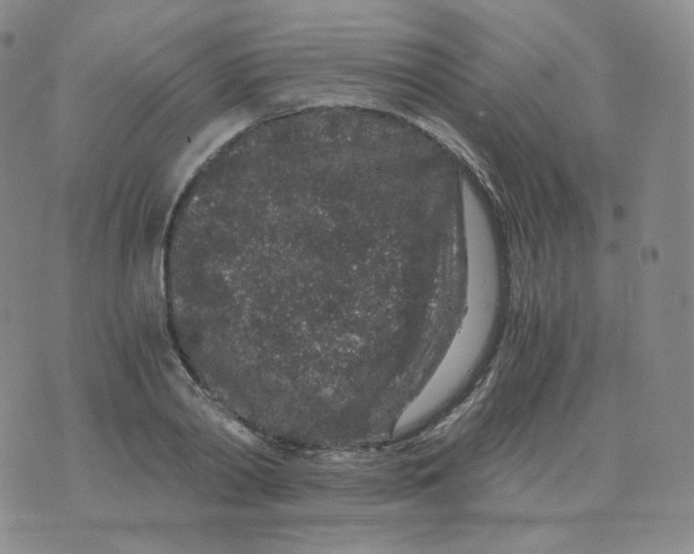 X0000076070790200610152226