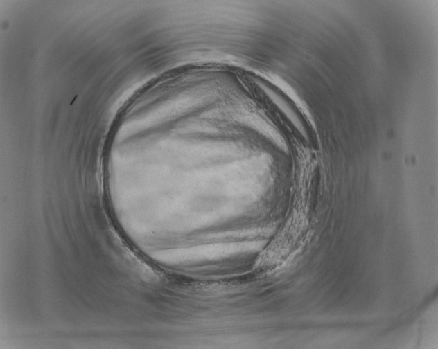 X0000076070791200610152226