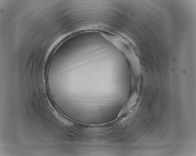 X0000076070792200610152226