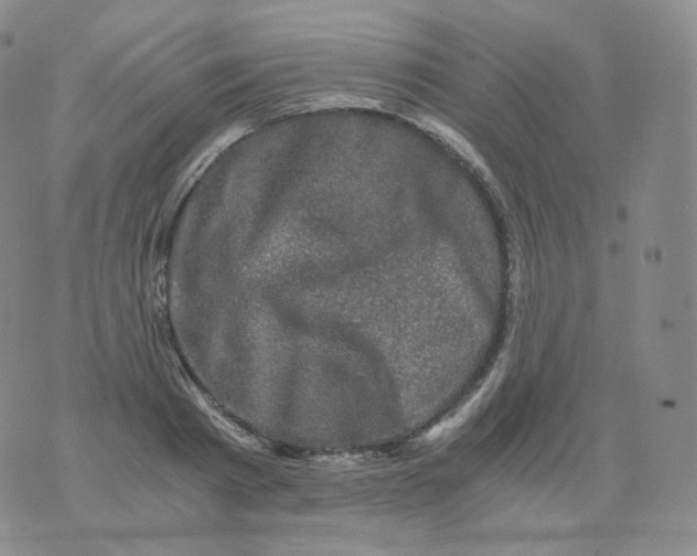 X0000076070793200610152226