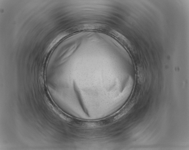 X0000076070794200610152226