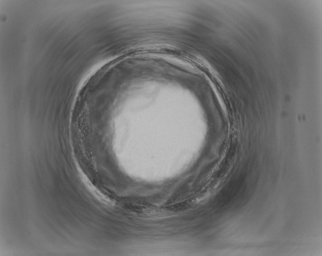 X0000076070795200610152226