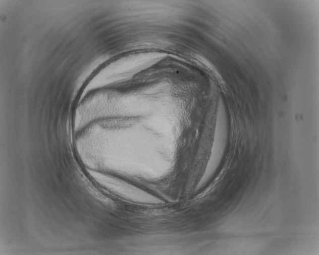 X0000076070796200610152226