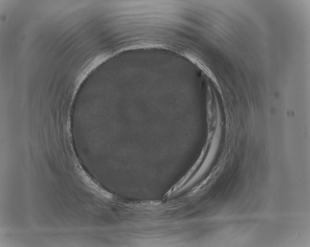 X0000076070797200610152226