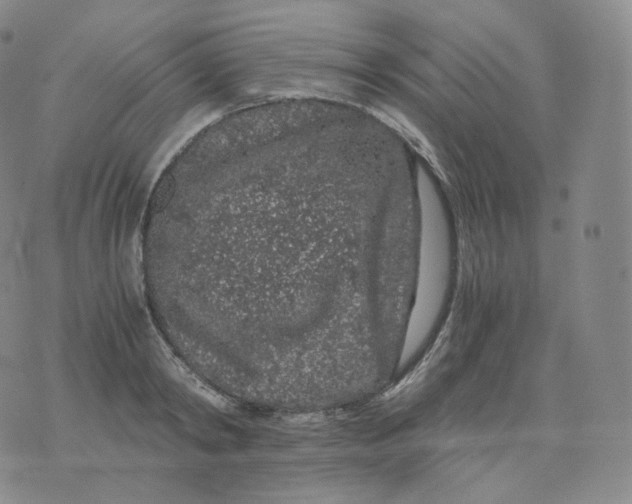 X0000076070798200610152226