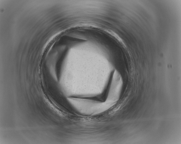 X0000076070799200610152226