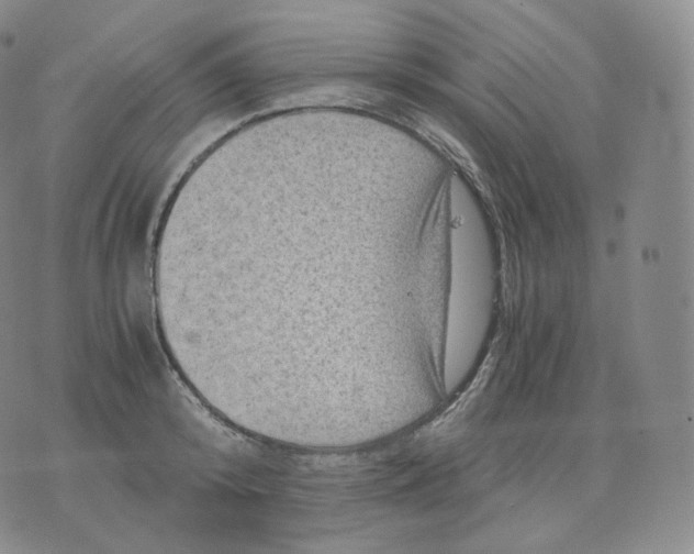 X0000076070800200610152226