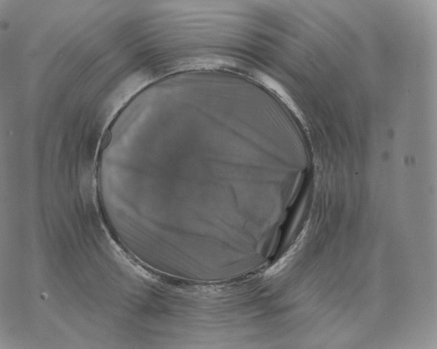 X0000076070802200610152226