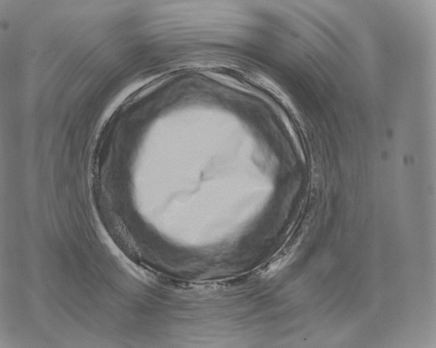 X0000076070803200610152226