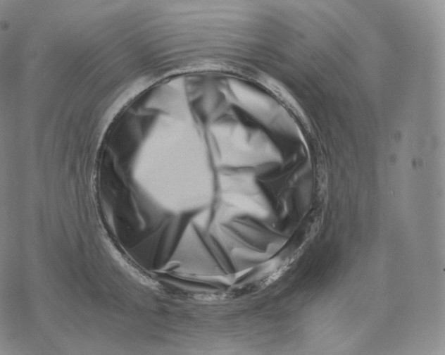 X0000076070805200610152226