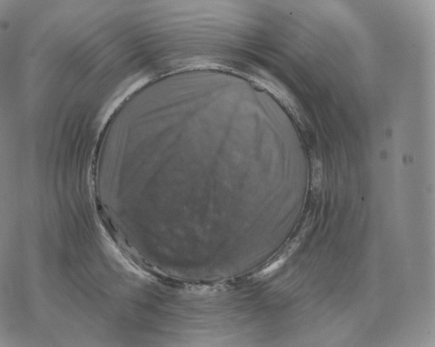 X0000076070806200610152226