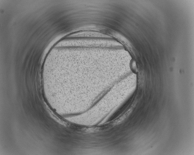 X0000076070808200610152226