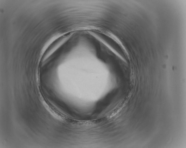 X0000076070811200610152226