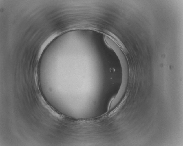 X0000076070812200610152226