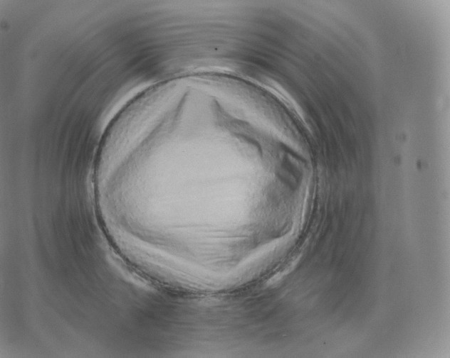 X0000076070814200610152226