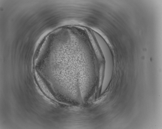 X0000076070815200610152226