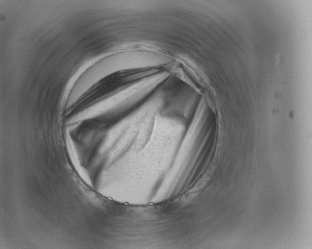 X0000076070816200610152226