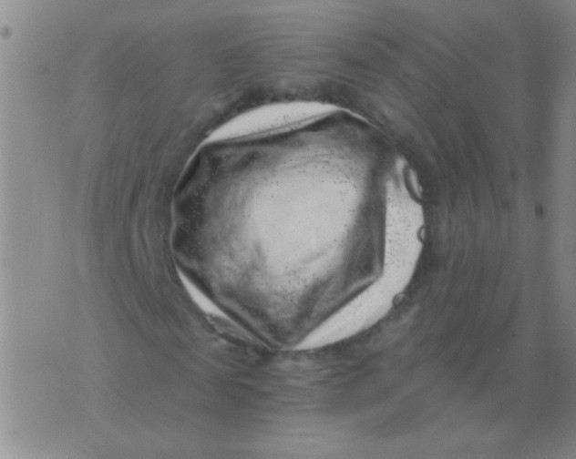 X0000076070817200610152225