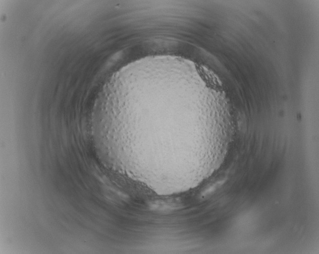 X0000076070819200610152225