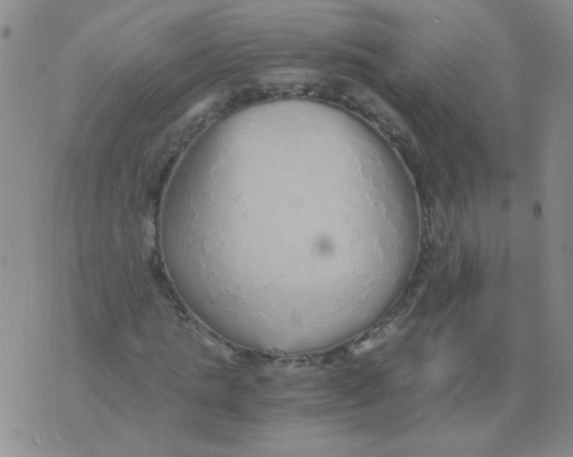 X0000076070821200610152225