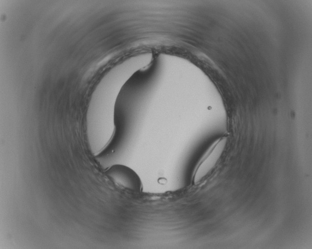 X0000076070822200610152225