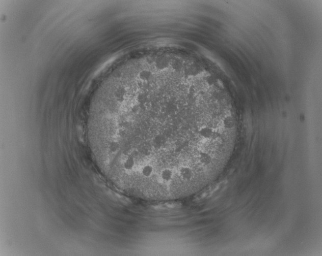 X0000076070823200610152225