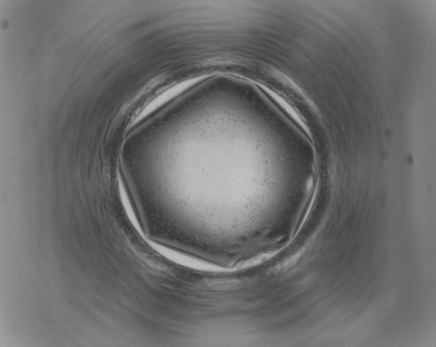 X0000076070825200610152225