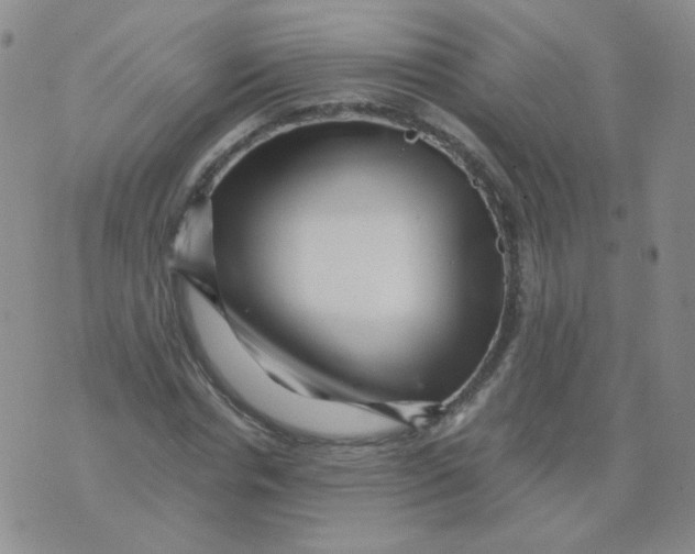 X0000076070826200610152225