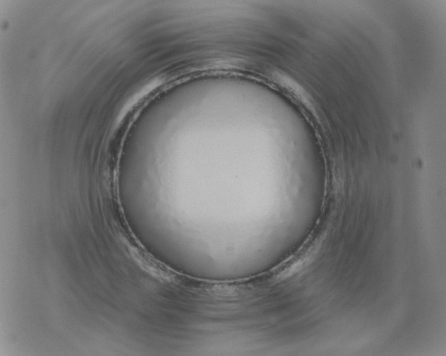 X0000076070827200610152225