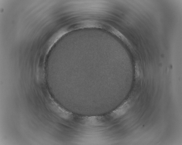 X0000076070828200610152225