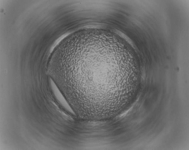 X0000076070829200610152225