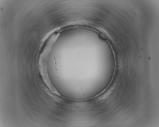 X0000076070830200610152225