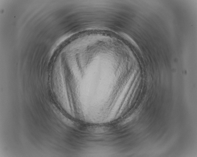 X0000076070831200610152225