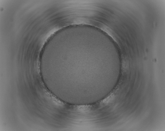 X0000076070832200610152225