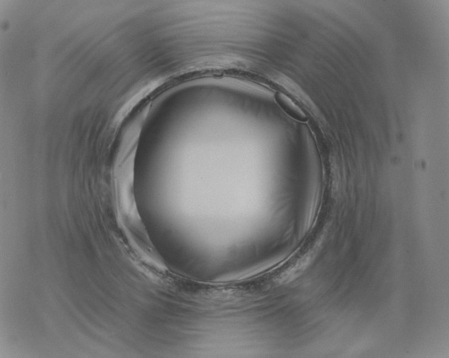 X0000076070834200610152225