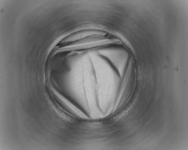 X0000076070837200610152225