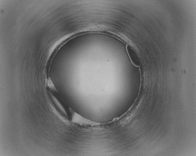 X0000076070838200610152225