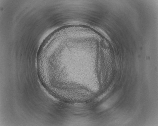 X0000076070839200610152225