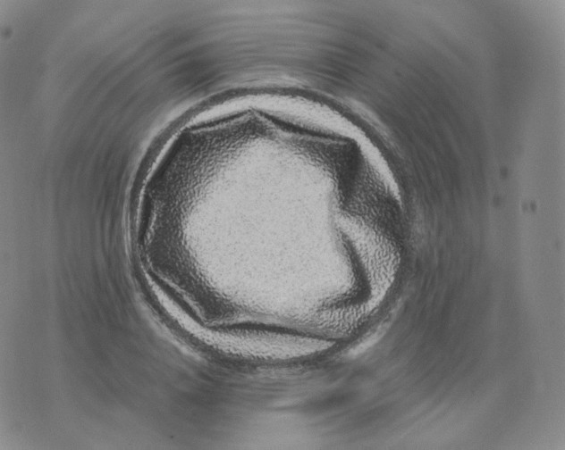 X0000076070840200610152225