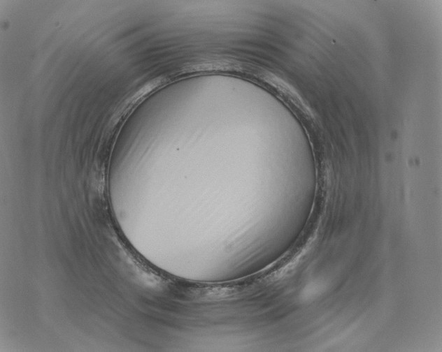 X0000076070841200610152225