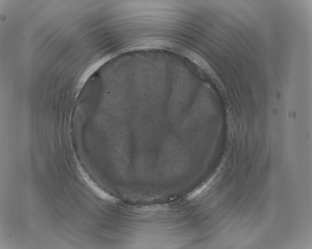 X0000076070842200610152225