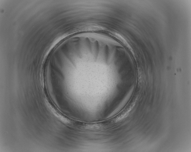 X0000076070843200610152225