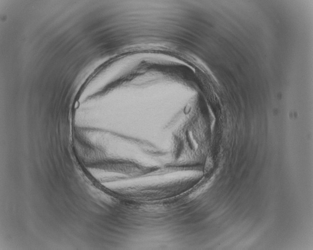 X0000076070844200610152225