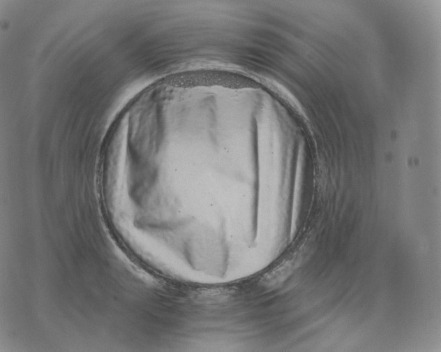 X0000076070847200610152226