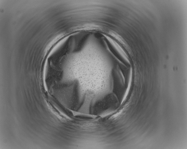 X0000076070850200610152226