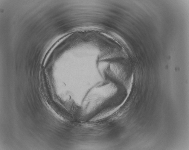 X0000076070852200610152226