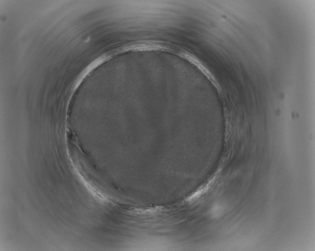 X0000076070853200610152226